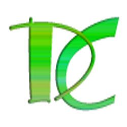 logo divinox
